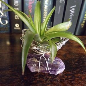 Amethyst Air Plant Holder